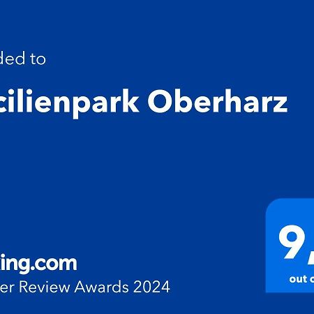 Vila Cecilienpark Oberharz Goslar Exteriér fotografie