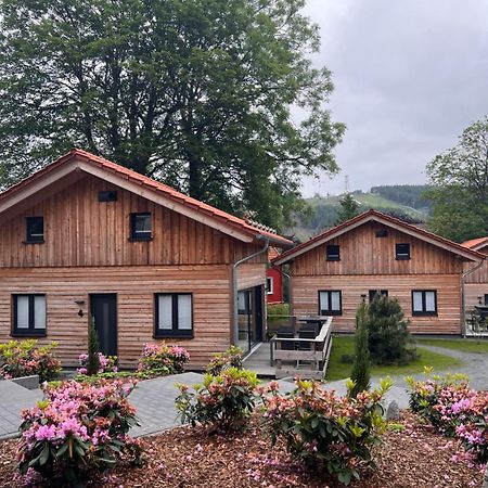 Vila Cecilienpark Oberharz Goslar Exteriér fotografie