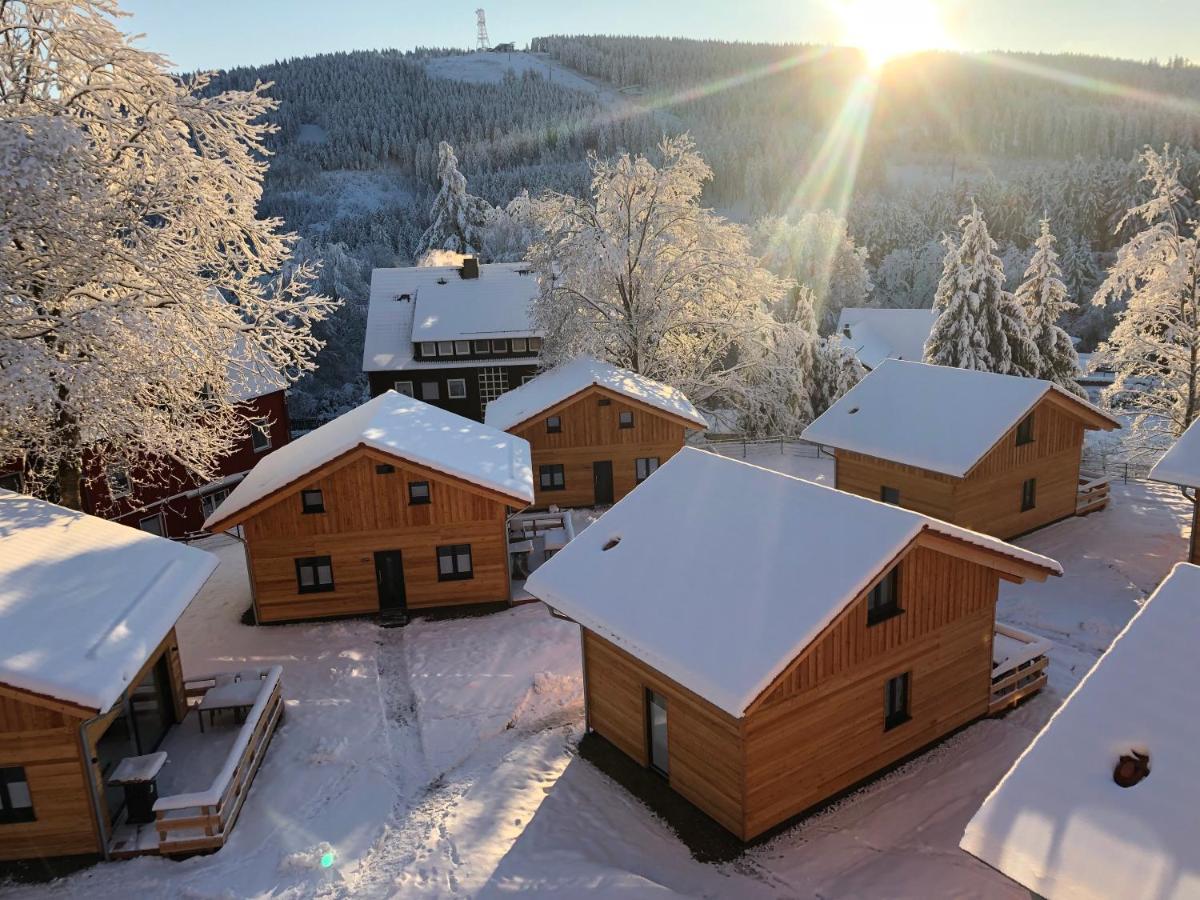 Vila Cecilienpark Oberharz Goslar Exteriér fotografie
