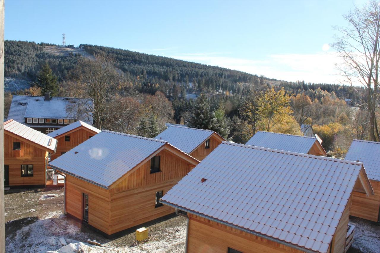 Vila Cecilienpark Oberharz Goslar Exteriér fotografie