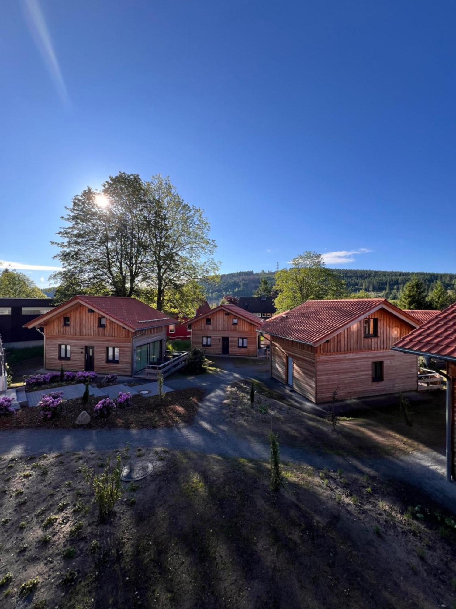 Vila Cecilienpark Oberharz Goslar Exteriér fotografie