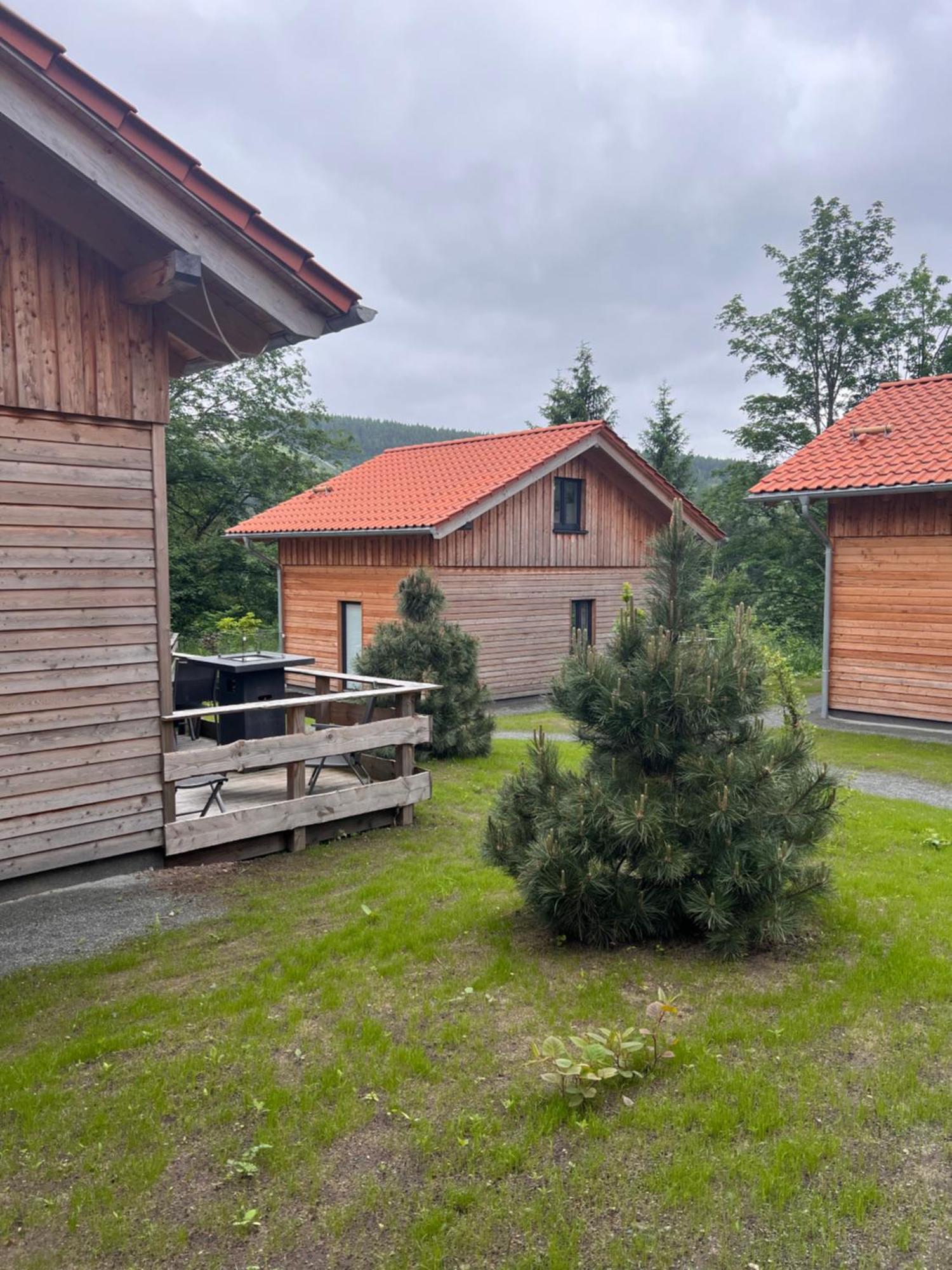 Vila Cecilienpark Oberharz Goslar Exteriér fotografie