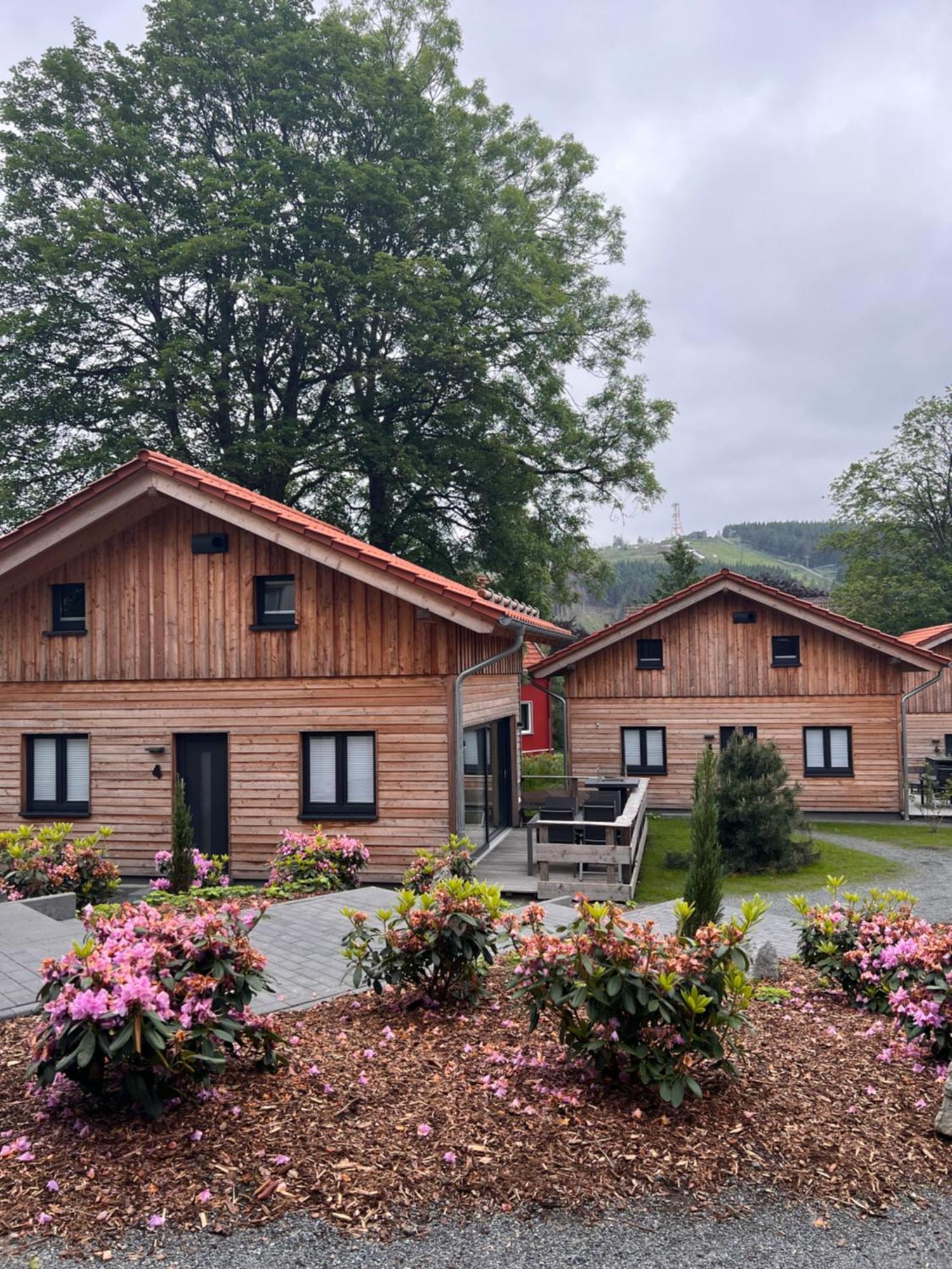 Vila Cecilienpark Oberharz Goslar Exteriér fotografie