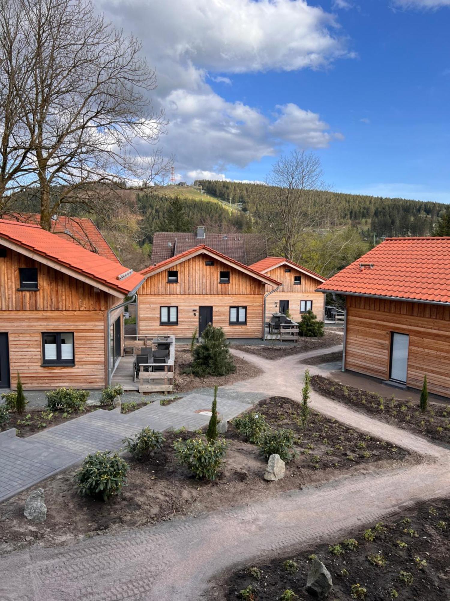Vila Cecilienpark Oberharz Goslar Exteriér fotografie
